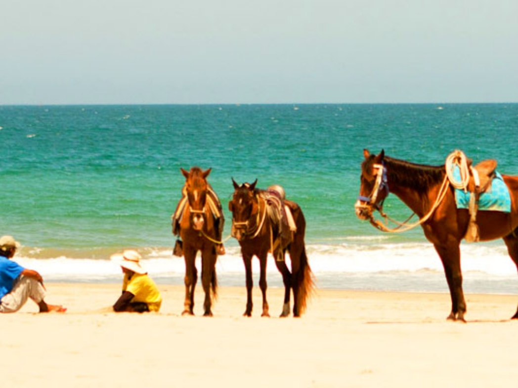 Caral desde Lima